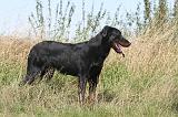 BEAUCERON 085